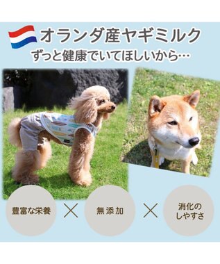 PET PARADISE ペットパラダイス ペット用 ヤギミルク オランダ産 -