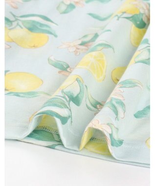 Wing パジャマ 綿100%(本体) 天竺素材 5分袖 半袖 長ズボン レディース EP8046 ウイング／ワコール メロン