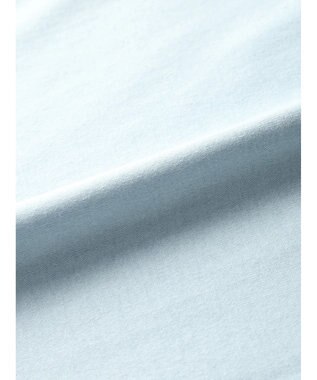 Green Parks ムジークタイガー／ＢＩＧ　ＣＡＴ　Ｔシャツ Light Blue