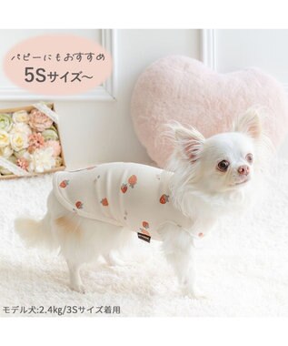 PET PARADISE ペットパラダイス はじめてのタンクトップ 《花苺柄》 超小型犬 小型犬 ホワイト×レッド