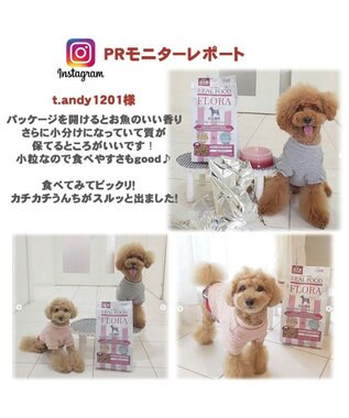 PET PARADISE ペットパラダイス  国産 ドッグフード フローラ3kg -