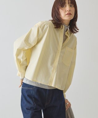 AMERICAN HOLIC 【イージーケア】ショート丈ストライプシャツ