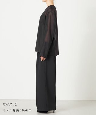 NAVE 【ReNAVE・洗える】シアーボイル ブラウス ブラック系