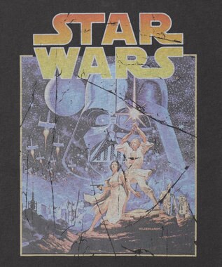 WEGO 【新柄追加/STARWARS/ユニセックス着用ITEM/SMLサイズ展開】STAR　WARS/グラフィックT（S） 柄2