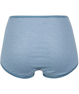 Wing ショーツ 綿混(身生地部) ここちよいフィット感 ムレにくい(身生地部) 【デイリーフィット 綿混ボーダー】 はきこみ丈ふかめ EC3650 ウイング／ワコール ブルー