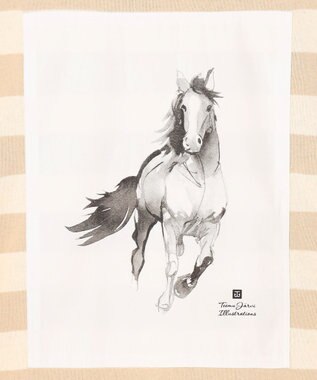 JOSEPH ABBOUD MOUNTAIN 【テーム・ヤルヴィモチーフ】ラガーシャツ ベージュ系2