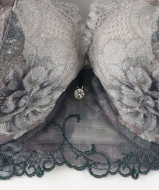 Wing ブラジャー Wing Lesiage サイドすっきり しっかりフィット 【2900シリーズ】 ブラ PB2900 ウイング／ワコール ダークブラウン