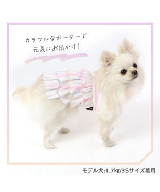PET PARADISE 犬の服 夏 ひんやり クール メッシュ 接触冷感 虫よけ ボーダーキャミソール 【小型犬】クールマックスエコメイド ピンク（淡）