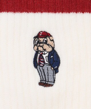 J.PRESS MEN 【BULLDOG BOY】リブライン ソックス ワイン系