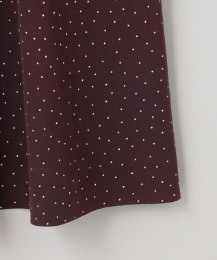 J.PRESS LADIES 【洗える】フェミニッシュパウダー dots ワンピース ワイン系5