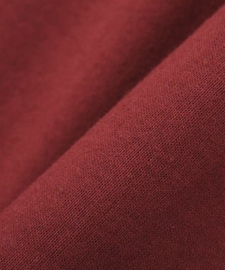 CRAFT STANDARD BOUTIQUE カレッジロゴグラフィックＴシャツ Red