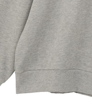 Green Parks ＦＡＮＴＡＳＩＡ／モノクロフォトプリントスウェット Gray Mixture