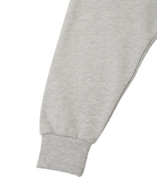 Green Parks ＦＡＮＴＡＳＩＡ／モノクロフォトプリントスウェット Gray Mixture