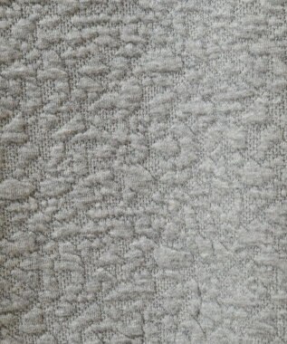 AMERICAN HOLIC フクレジャガードプルオーバー Gray Mixture