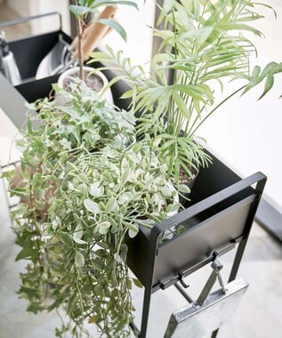 tower キャスター付き 玄関収納ラック タワー ブラック ブラック