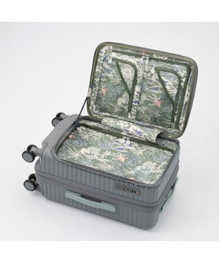 ACE BAGS & LUGGAGE HaNT ココント スーツケース 36L 機内持込 フロントポケット付 05511 ハント バトゥ・グレー
