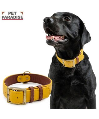 PET PARADISE ペットパラダイス ソフトレザー首輪 《マスタードイエロー》 Ｌ
