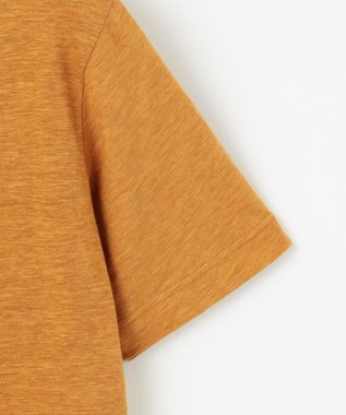 JOSEPH ABBOUD MOUNTAIN 【UNISEX】ヴィンテージオーガニック天竺 Tシャツ イエロー系