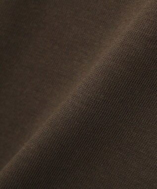 AMERICAN HOLIC 【マルチ機能】カレッジロゴＴシャツ Brown
