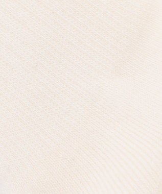 J.PRESS MEN 【BULLDOG BOY】リブライン ソックス ワイン系