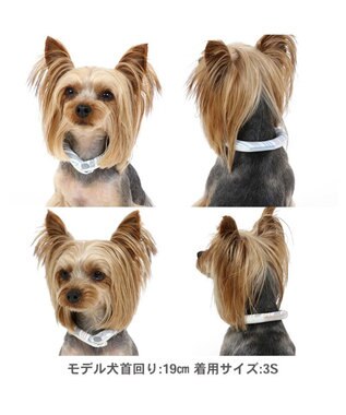 PET PARADISE クールリング 犬 クールネック ひんやり 28℃クールリング 【３Ｓ】 リフレクター 水色 ベージュ  反射材付き 水色 ３Ｓ