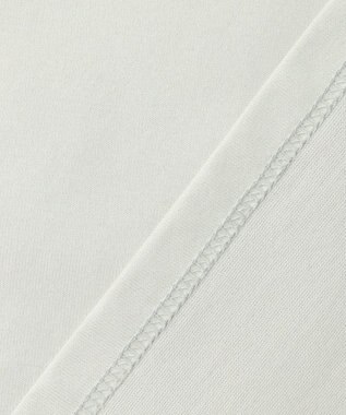 J.PRESS LADIES 【一枚で着映え】シアーエンブロイダリー カットソー ライトミント系