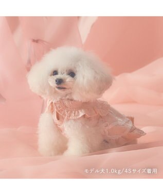 PET PARADISE cherircouture フリルカラーワンピース 小型犬 ピンク