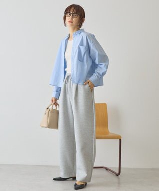 AMERICAN HOLIC 【イージーケア】ショート丈ストライプシャツ Stripe Sax