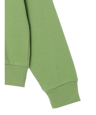 Green Parks ＦＡＮＴＡＳＩＡ／ポスタープリント裏毛プルオーバー Green