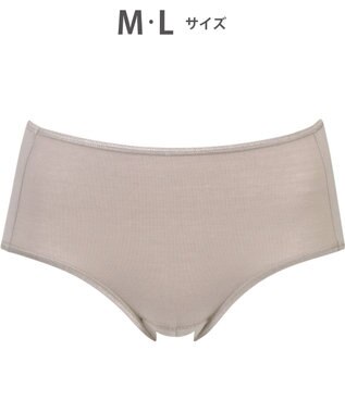 Wing サニタリーショーツ　羽根付きナプキン対応　はきこみ丈ふつう　ウイング／ワコール　EC8500 ブラウン