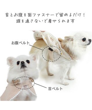 PET PARADISE ペットパラダイス くまちゃん お手軽 ポンチョ 小型犬 ベージュ