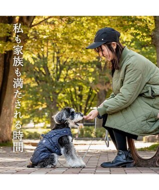PET PARADISE J.PRESS  アウターハーネス オニオンシームステッチ 《ネイビー》 小型犬 ネイビー