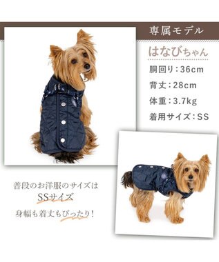 PET PARADISE J.PRESS  アウターハーネス オニオンシームステッチ 《ネイビー》 小型犬 ネイビー