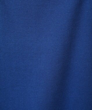 earth music&ecology レイヤードカットタンクトップ Blue