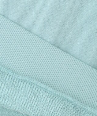 ANY KIDS 【らくっトレーナー】アニマル 裏毛 サガラ刺しゅう トレーナー エメラルドグリーン（イヌ）