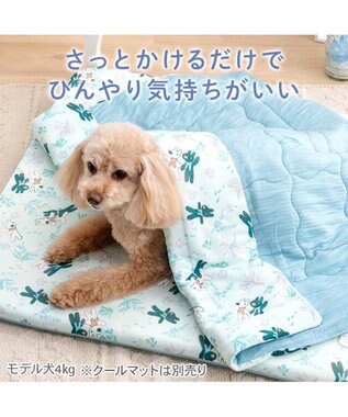 PET PARADISE リサとガスパール もちっと クール ブランケット 《海草柄》 ライトブルー