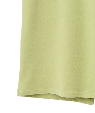 AMERICAN HOLIC DISCUS 加工裏毛ナロースカート Pistachio