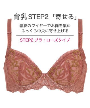 BRADELIS New York 【BRADELIS New York / 育乳ブラ・STEP2 寄せる】ローズステップ2ブラ23A1  脇高設計でスッキリ補正するブラ テラコッタ