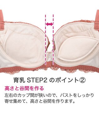 BRADELIS New York 【BRADELIS New York / 育乳ブラ・STEP2 寄せる】ローズステップ2ブラ23A1  脇高設計でスッキリ補正するブラ テラコッタ