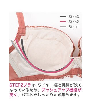 BRADELIS New York 【BRADELIS New York / 育乳ブラ・STEP2 寄せる】ローズステップ2ブラ23A1  脇高設計でスッキリ補正するブラ テラコッタ