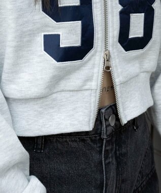 WEGO グラフィックショートZIPパーカー アッシュグレー