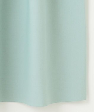 自由区 【洗える】ポリエステルホールガーメント スカート ライトグリーン系