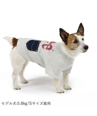 PET PARADISE Lee ワッフル Tシャツ 小型犬 グレー