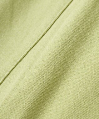 AMERICAN HOLIC DISCUS 加工裏毛ナロースカート Pistachio