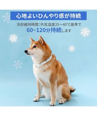 PET PARADISE ペットパラダイス ２８℃ クールリング ＳＭ 《サメ柄》 ブルー