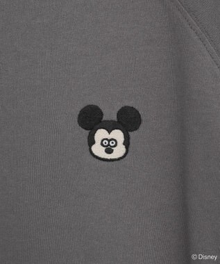 Green Parks Ｍｉｃｋｅｙ　ｆｒｉｅｎｄ　／　ワンポイントＢＩＧＴＥＥ Charcoal Gray