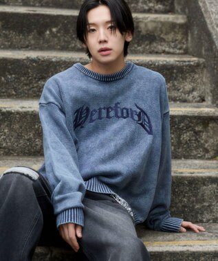 WEGO ブリーチニットグラフィックプルオーバー