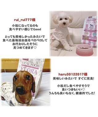PET PARADISE ペットパラダイス  国産 ドッグフード フローラ3kg -