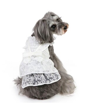 PET PARADISE ペットパラダイス レースワンピース 小型犬 ホワイト