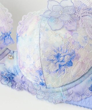 Wing ブラジャー Wing Lesiage サイドすっきり しっかりフィット 【2900シリーズ】 ブラ PB2900 ウイング／ワコール ブルー